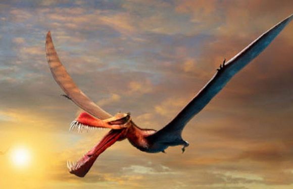 Remains of ‘real-life dragon’ with spear-like mouth and 7m wingspan discovered