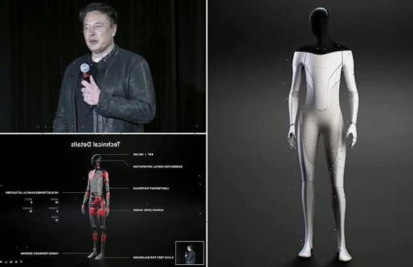Robots: Elon Musk reveals plans to launch 'Tesla Bot' in 2022