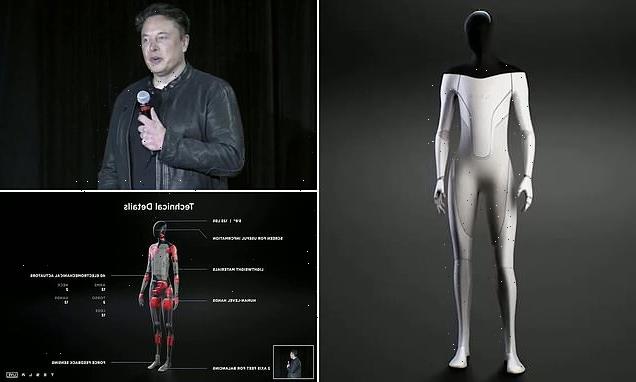 Robots: Elon Musk reveals plans to launch 'Tesla Bot' in 2022