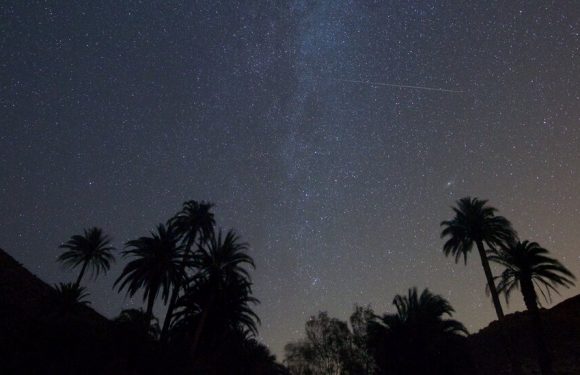 Watch the Perseids Meteor Shower Peak in Night Skies