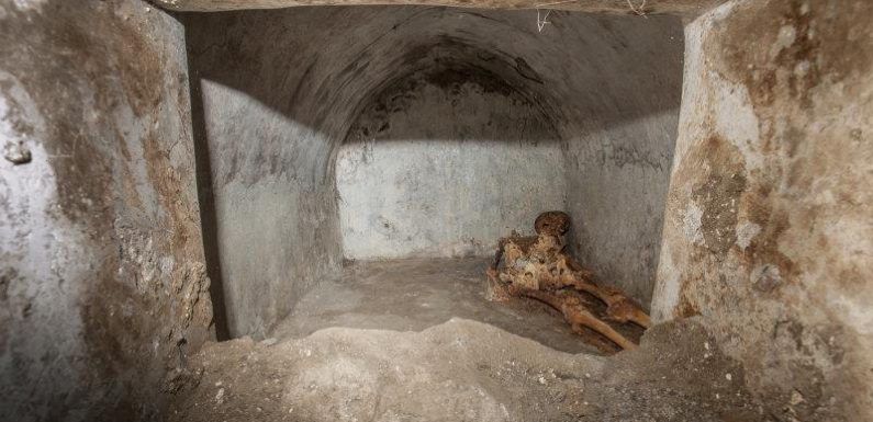 Well-preserved skeleton sheds light on culture in ancient Pompeii