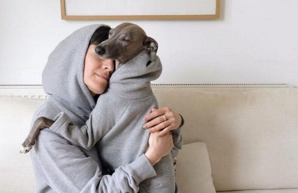 Whippet becomes fashionista thanks to cool matching designer outfits with owner