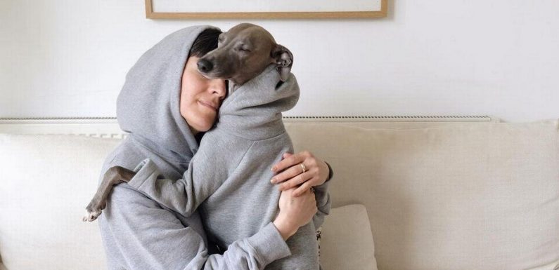Whippet becomes fashionista thanks to cool matching designer outfits with owner