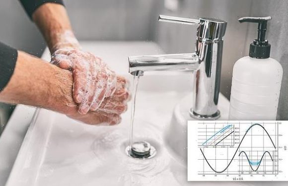 You should wash your hands for at least 20 seconds, models reveals