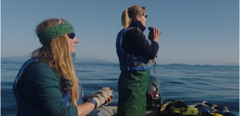 ‘Fathom’ Director on Having Important Conversations About Women in STEM and Showing How Whale Communication Is ‘Stranger Than Science Fiction’