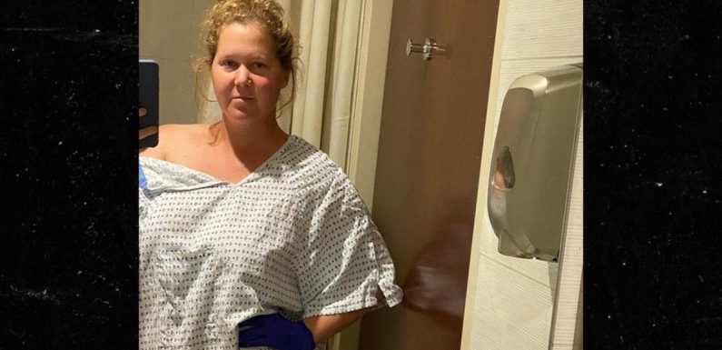Amy Schumer Has Uterus and Appendix Removed From Endometriosis