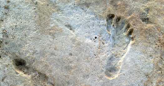 Ancient Footprints Push Back Date of Human Arrival in the Americas