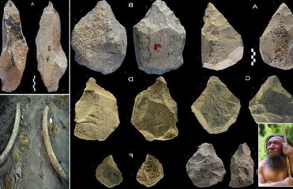 Ancient humans made elephant bone tools 400,000 years ago