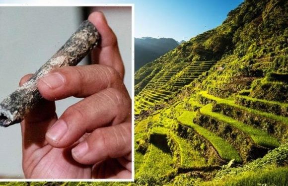Archaeologists amazed by tiny bone found in cave ‘belonging to unknown species of human’