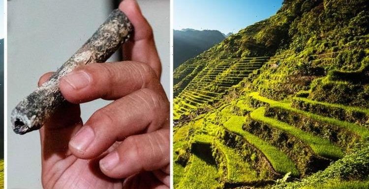 Archaeologists amazed by tiny bone found in cave ‘belonging to unknown species of human’