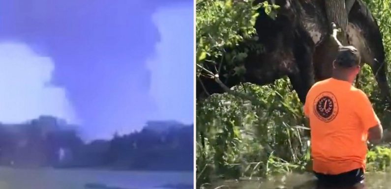 Bizarre moment cow gets stuck in a TREE during Hurricane Ida as terrifying footage shows huge tornado in New Jersey