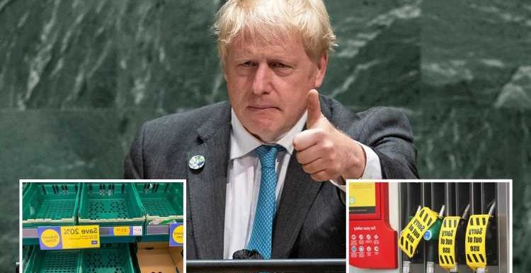 Boris Johnson vows to give HGV drivers pay rise and will send morale-boosting letters in bid to save Christmas