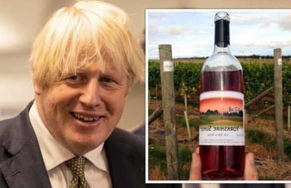 Brexit Britain enjoying ‘wine boom’ to economy as industry braced for £658m injection