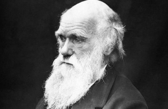 Charles Darwin’s natural selection mystery solved after 160 years in stunning breakthrough