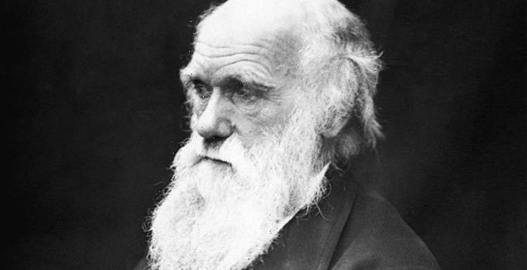 Charles Darwin’s natural selection mystery solved after 160 years in stunning breakthrough