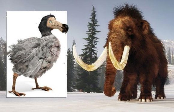 DNA editing to bring ancient beasts back to life – including mammoth and dodo