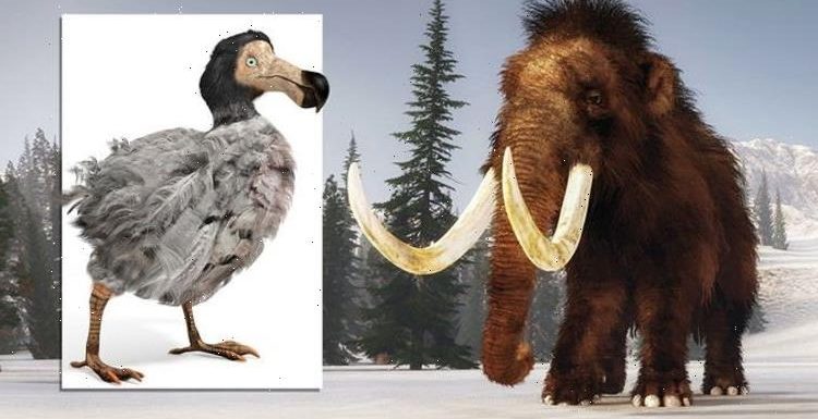 DNA editing to bring ancient beasts back to life – including mammoth and dodo