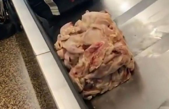 Disgusting pile of raw chicken on airport luggage carousel prompts odd warning