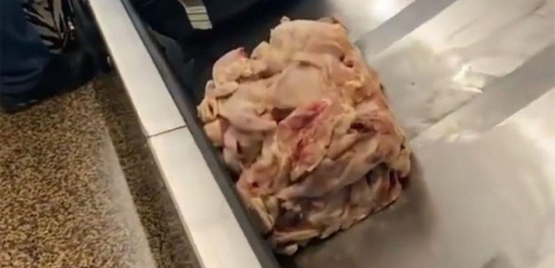 Disgusting pile of raw chicken on airport luggage carousel prompts odd warning
