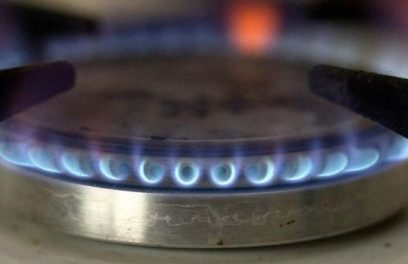 EU braced for ‘very tight winter’ as soaring gas prices threaten ‘poverty crisis’