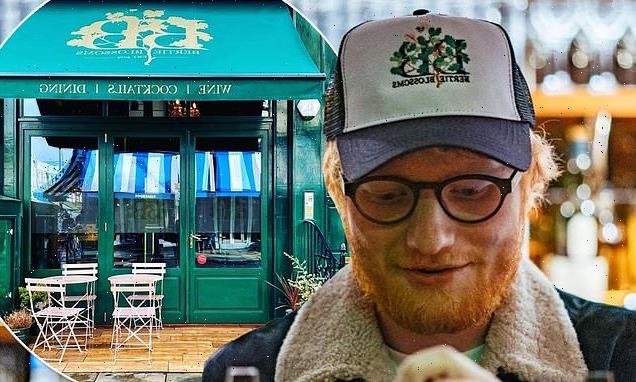 Ed Sheeran's property empire accounts surpass £38million