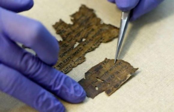 Egypt breakthrough as Hebrew document tipped to uncover Dead Sea Scrolls secrets