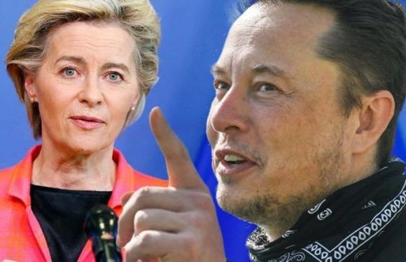 Elon Musk concerned as EU set to wave through £29bn UK tech company takeover