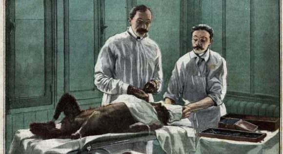 ‘Frankenstein’ doc made fortune sewing monkey balls into men to boost sex lives