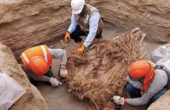 Gas pipe workers uncover remains of eight people buried inside 800-year-old tomb