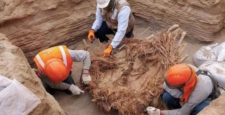 Gas pipe workers uncover remains of eight people buried inside 800-year-old tomb