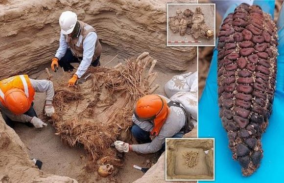 Gas workers in Peru find remains of eight people buried 800 years ago