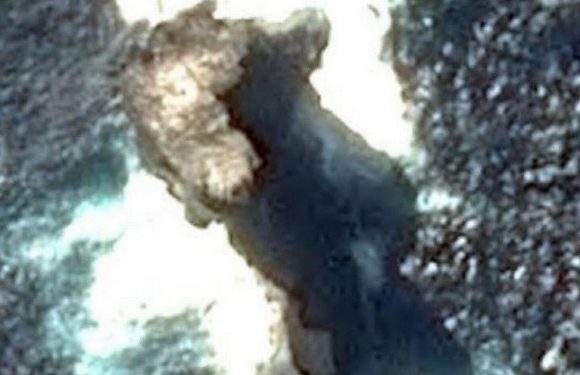 Google Maps user convinced they have found a ‘sea dragon’ on the site