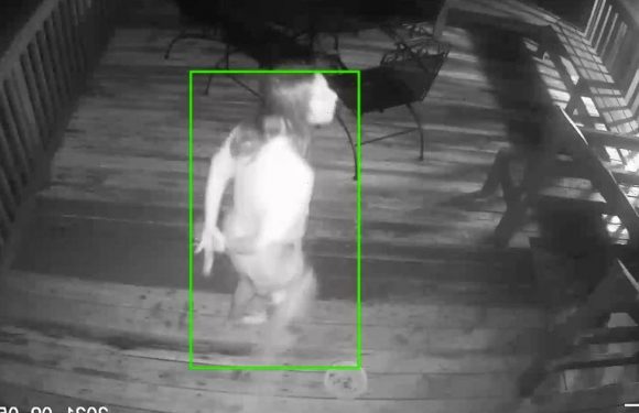 Homeowners terrified after finding ‘zombie’ woman lurking outside home at night