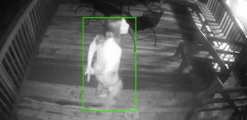Homeowners terrified after finding ‘zombie’ woman lurking outside home at night
