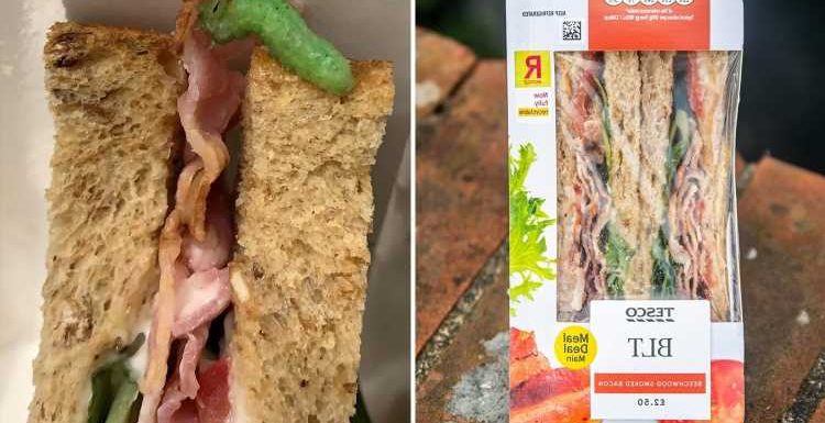 Horrified shopper finds bright green CATERPILLAR munching down on his Tesco BLT