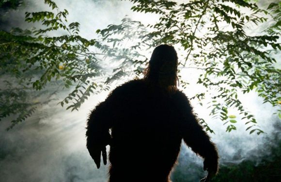 ‘I saw two Bigfoot creatures fight and it was so terrifying I wet myself’