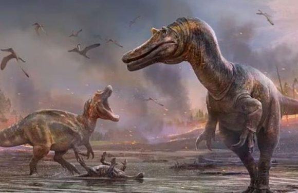 Isle of Wight: New species of unknown ‘hell’ dinosaur identified after beach remains found