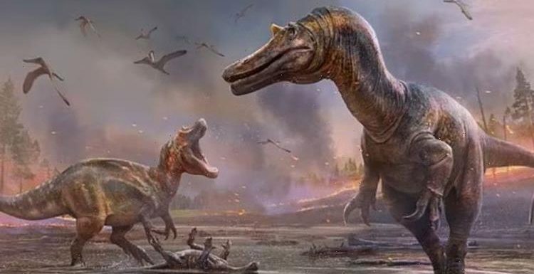 Isle of Wight: New species of unknown ‘hell’ dinosaur identified after beach remains found