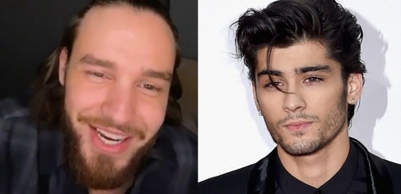 Liam Payne Posts TikTok of One Direction's 'Meeting' After Zayn Quit