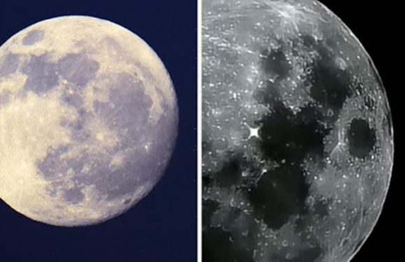 Mysterious ‘flashing lights’ spotted on moon spark conspiracy meltdown