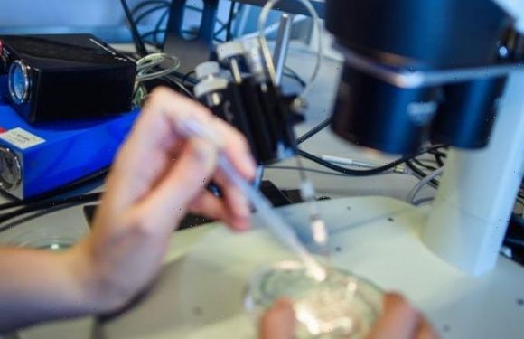 Parkinson’s disease: ‘Swiss army knife’ for gene editing could treat incurable illness