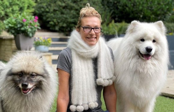 Pet owner pays £185 to have unique 5ft long scarf made out of dogs’ hair