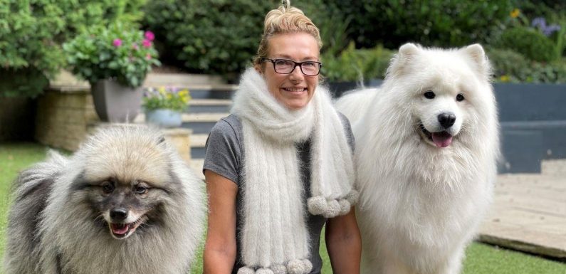 Pet owner pays £185 to have unique 5ft long scarf made out of dogs’ hair