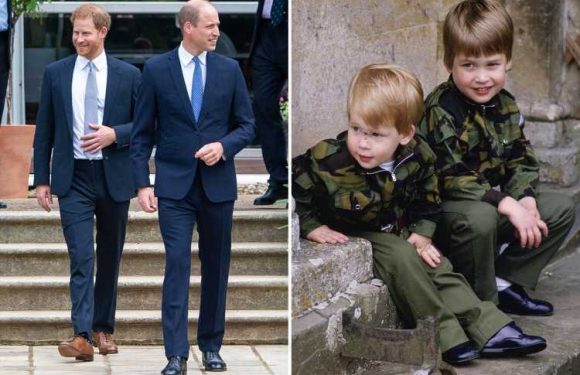 Prince Harry's shocking outburst aged FOUR which stunned mum Princess Diana & eerily predicted the brothers' Royal rift