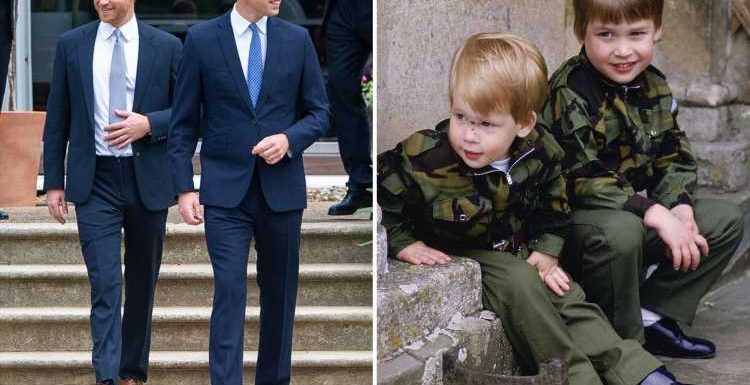 Prince Harry's shocking outburst aged FOUR which stunned mum Princess Diana & eerily predicted the brothers' Royal rift