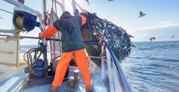 Protect our waters! UK’s block on France vindicated as fish stocks found at HIGH risk