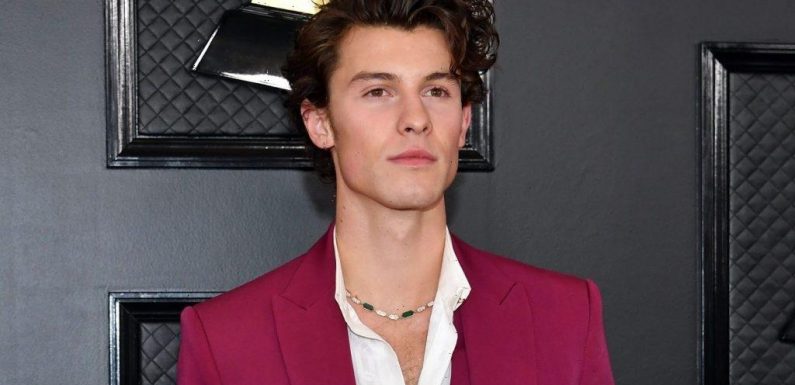 Shawn Mendes Has 14 Tattoos—Here's What Each One Means
