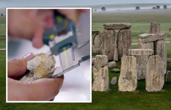 Stonehenge ‘history reshaped’ after mass burial find suggested site was ‘elite cemetery’