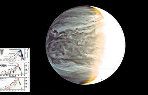 Sunlight coming through Venus' clouds could support photosynthesis