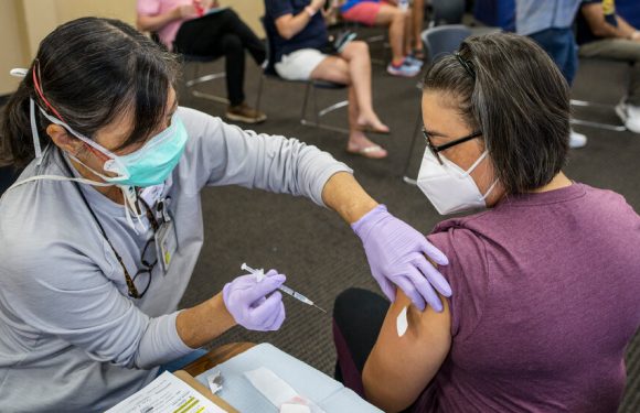 The F.D.A. is likely to make its long-awaited decision on boosters this week.